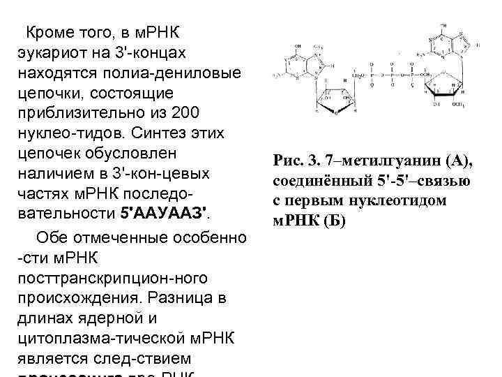 Транскрипция синтез мрнк