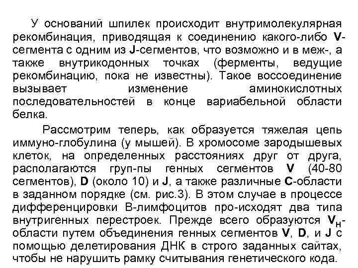 У оснований шпилек происходит внутримолекулярная рекомбинация, приводящая к соединению какого-либо Vсегмента с одним из