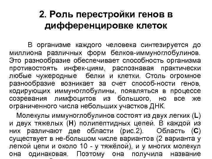 2. Роль перестройки генов в дифференцировке клеток В организме каждого человека синтезируется до миллиона