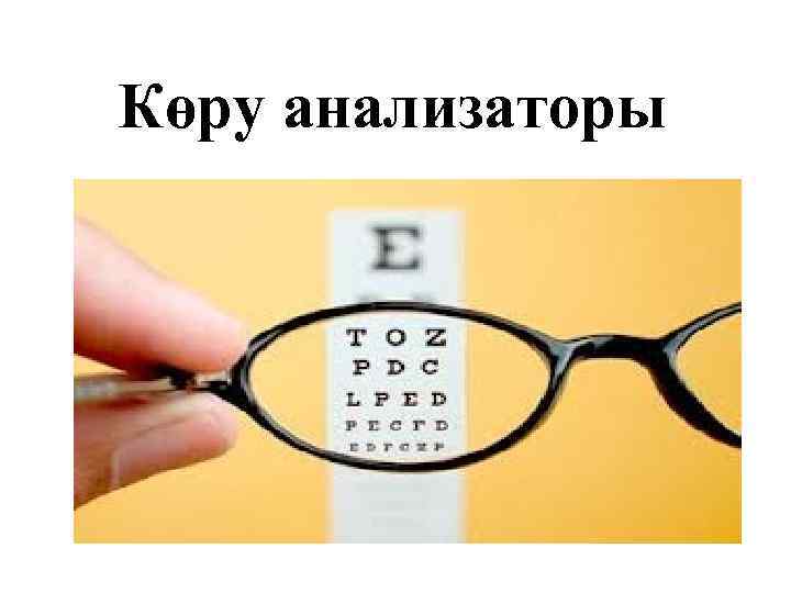 Көру анализаторы 
