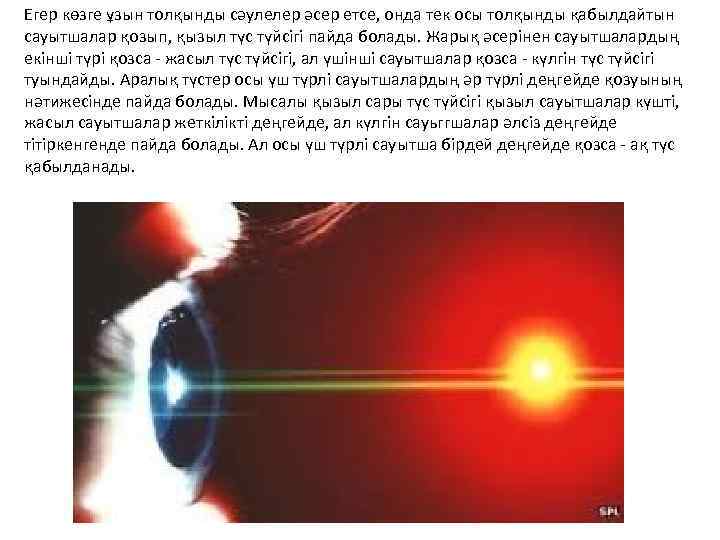 Егер көзге ұзын толқынды сәулелер әсер етсе, онда тек осы толқынды қабылдайтын сауытшалар қозып,