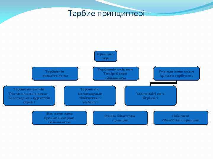 Тәрбиенің принциптері презентация