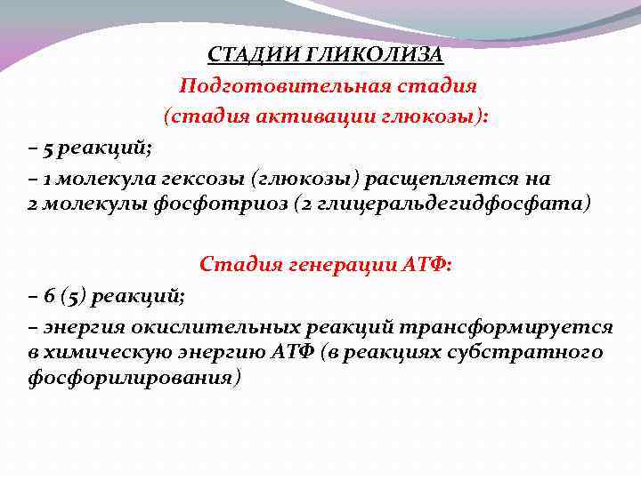 СТАДИИ ГЛИКОЛИЗА Подготовительная стадия (стадия активации глюкозы): – 5 реакций; – 1 молекула гексозы