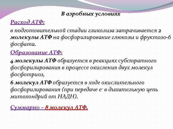 В аэробных условиях Расход АТФ: в подготовительной стадии гликолиза затрачивается 2 молекулы АТФ на