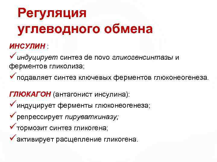 Регуляция углеводного обмена ИНСУЛИН : ИНСУЛИН üиндуцирует синтез de novo гликогенсинтазы и ферментов гликолиза;