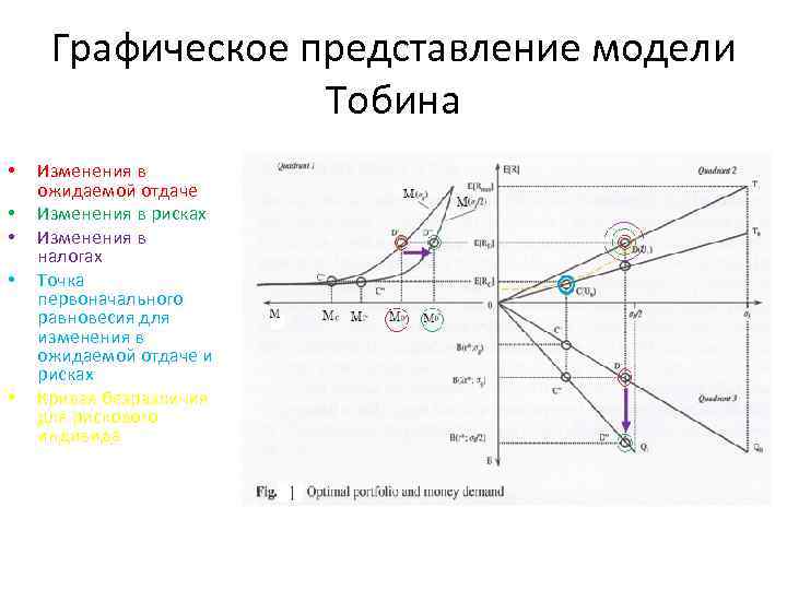 Графическое представление модели Тобина • • • Изменения в ожидаемой отдаче Изменения в рисках