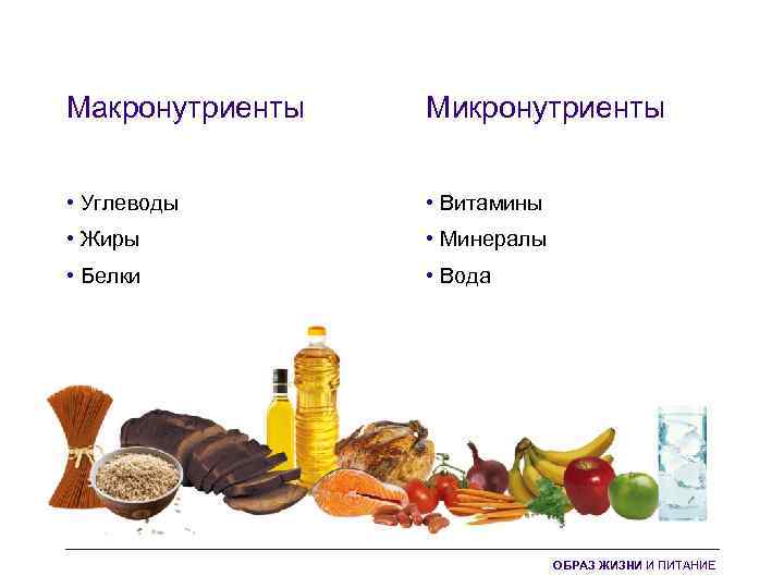 Макронутриенты Микронутриенты • Углеводы • Витамины • Жиры • Минералы • Белки • Вода