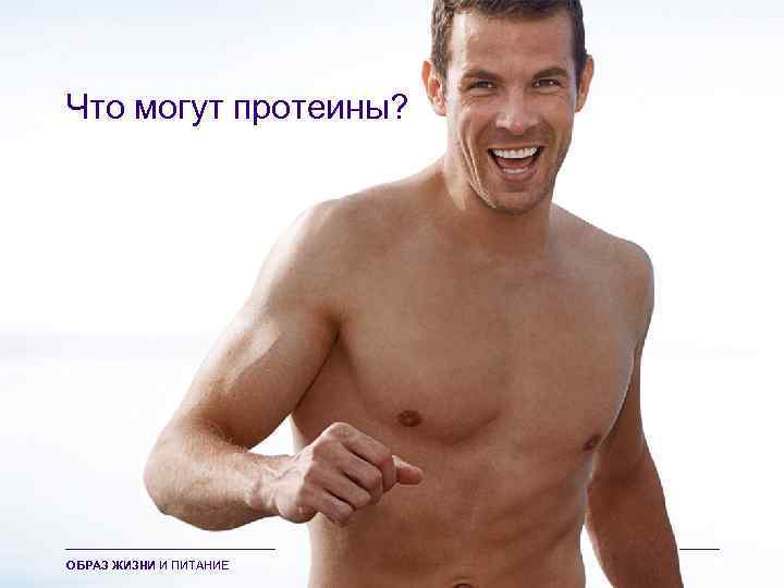Что могут протеины? ОБРАЗ ЖИЗНИ И ПИТАНИЕ 
