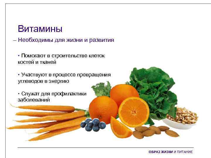 Витамины – Необходимы для жизни и развития • Помогают в строительстве клеток костей и