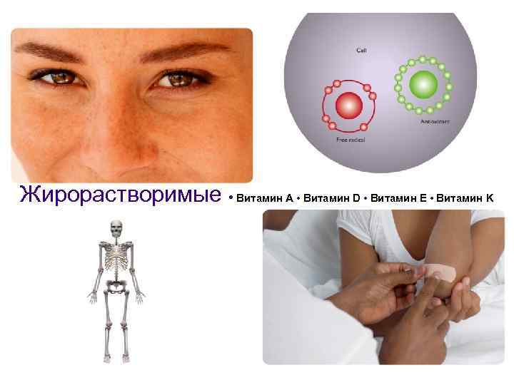 Жирорастворимые • Витамин A • Витамин D • Витамин E • Витамин K 