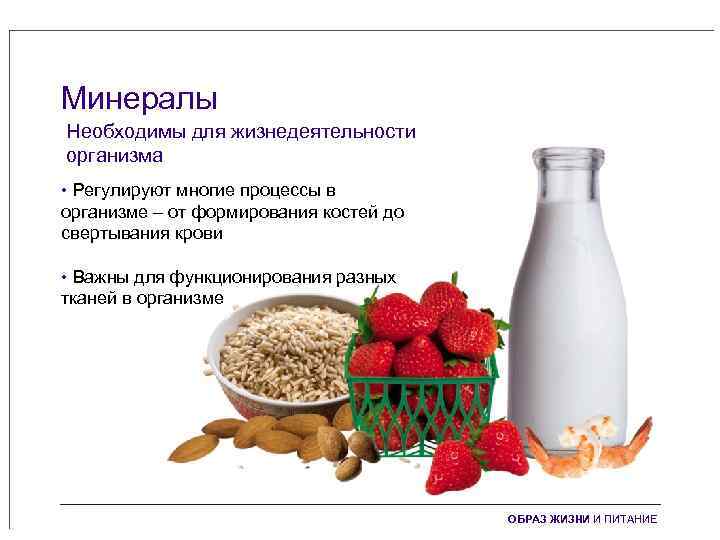 Минералы Необходимы для жизнедеятельности организма • Регулируют многие процессы в организме – от формирования