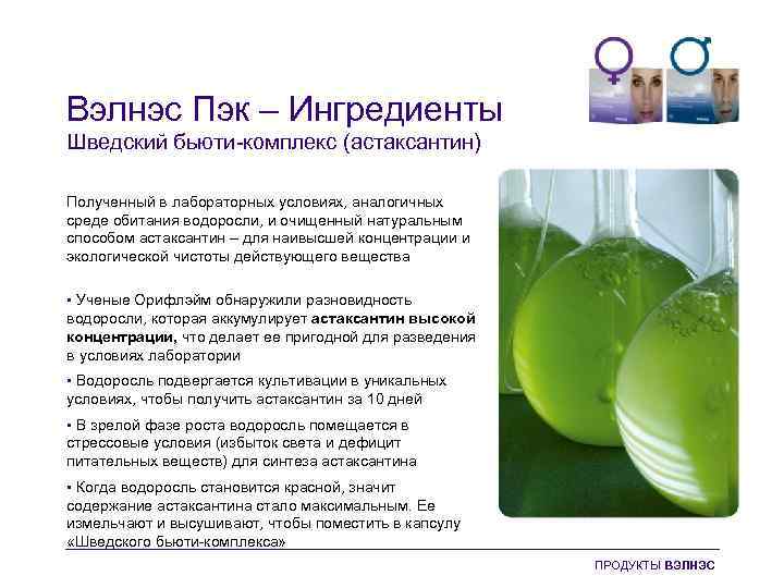 Вэлнэс Пэк – Ингредиенты Шведский бьюти-комплекс (астаксантин) Полученный в лабораторных условиях, аналогичных среде обитания