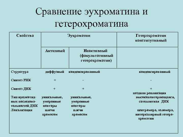 Сравнение эухроматина и гетерохроматина Свойства Эухроматин Активный Структура Неактивный (факультативный гетерохроматин) диффузный конденсированный Синтез