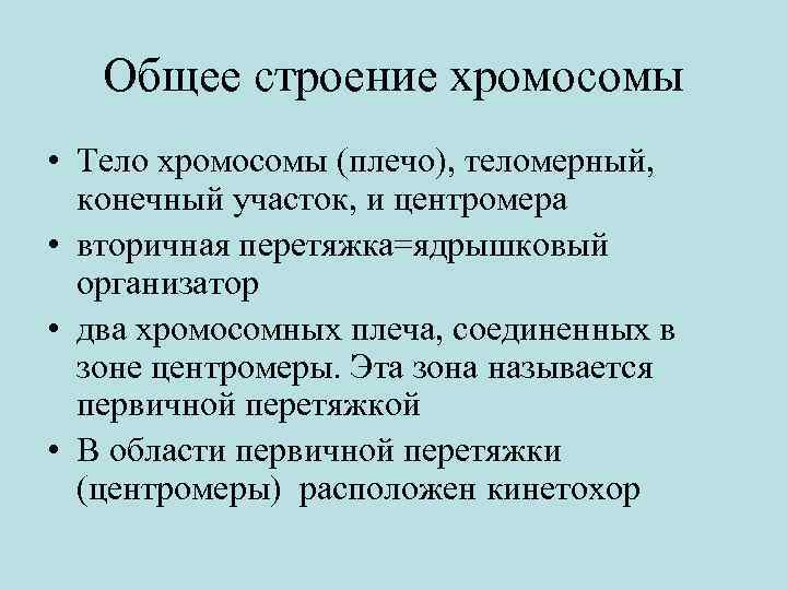 Общее строение хромосомы • Тело хромосомы (плечо), теломерный, конечный участок, и центромера • вторичная