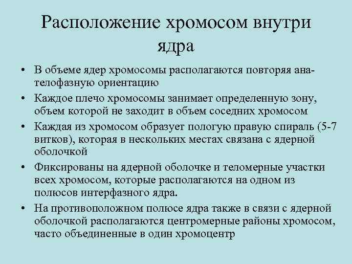 Расположение хромосом внутри ядра • В объеме ядер хромосомы располагаются повторяя анателофазную ориентацию •