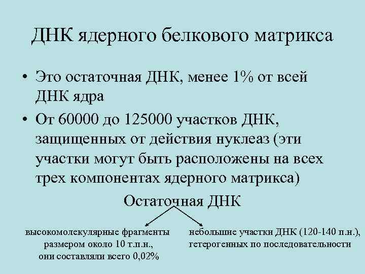 ДНК ядерного белкового матрикса • Это остаточная ДНК, менее 1% от всей ДНК ядра