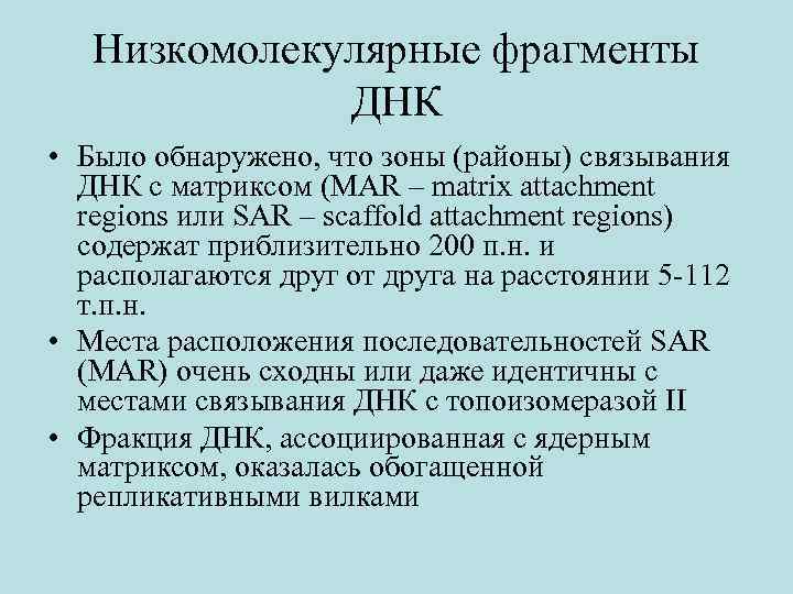 Низкомолекулярные фрагменты ДНК • Было обнаружено, что зоны (районы) связывания ДНК с матриксом (MAR