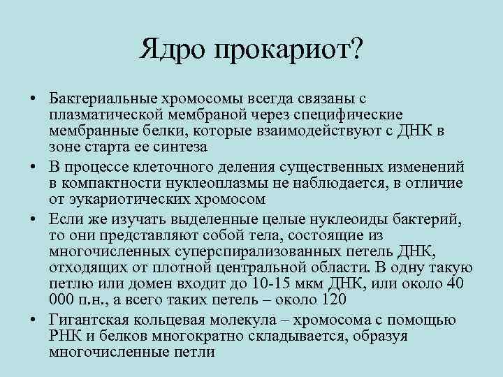 Ядро прокариот? • Бактериальные хромосомы всегда связаны с плазматической мембраной через специфические мембранные белки,