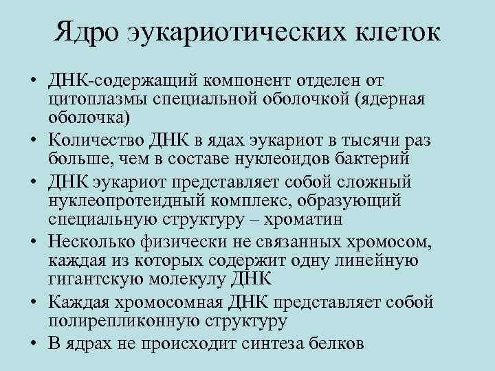 Ядро эукариотических клеток • ДНК-содержащий компонент отделен от цитоплазмы специальной оболочкой (ядерная оболочка) •