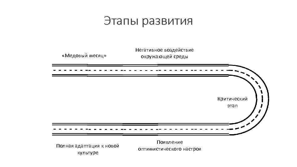 Этапы развития «Медовый месяц» Негативное воздействие окружающей среды Критический этап Полная адаптация к новой