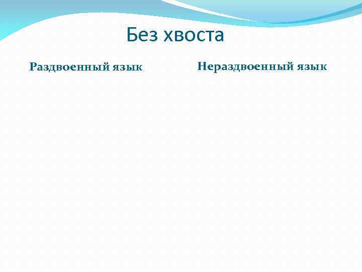 Без хвоста Раздвоенный язык Нераздвоенный язык 