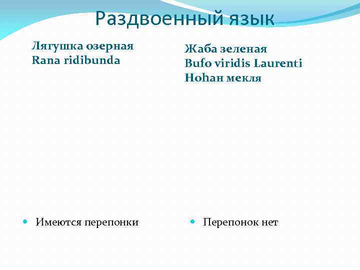 Раздвоенный язык Лягушка озерная Rana ridibunda Имеются перепонки Жаба зеленая Bufo viridis Laurenti Ноhан