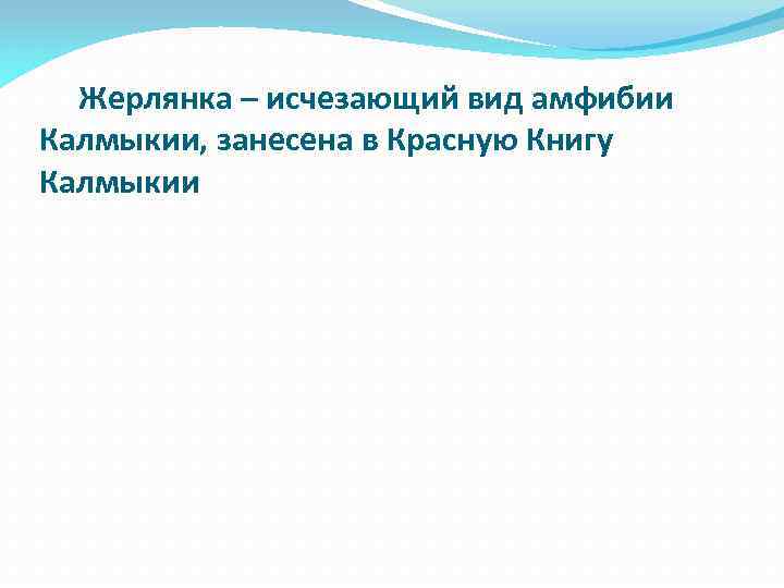  Жерлянка – исчезающий вид амфибии Калмыкии, занесена в Красную Книгу Калмыкии 