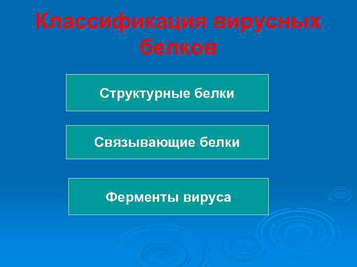 Классификация вирусных белков Структурные белки Связывающие белки Ферменты вируса 