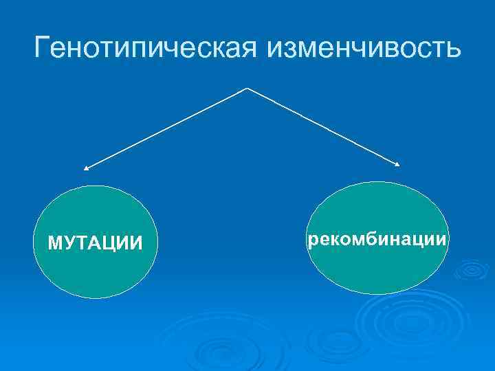 Генотипическая изменчивость МУТАЦИИ рекомбинации 