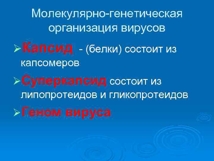 Молекулярно-генетическая организация вирусов ØКапсид - (белки) состоит из капсомеров ØСуперкапсид состоит из липопротеидов и