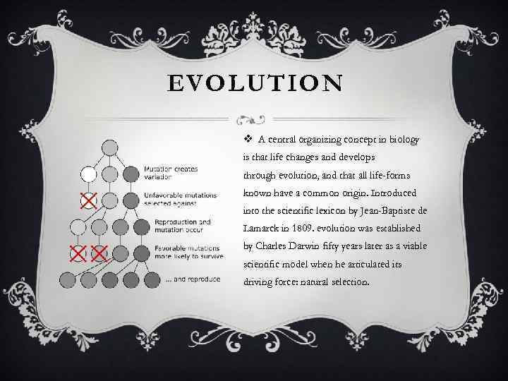 EVOLUTION v A central organizing concept in biology is that life changes and develops