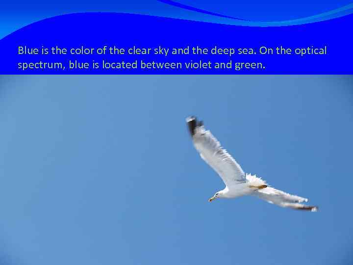 Blue is the color of the clear sky and the deep sea. On the
