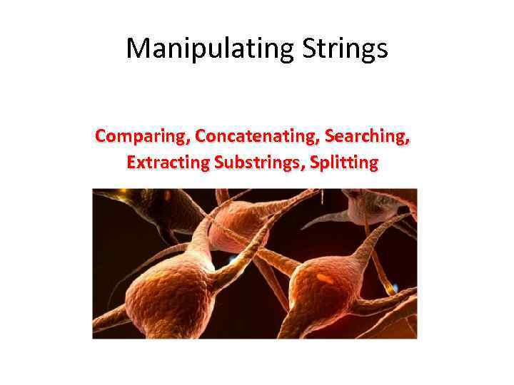 Manipulating Strings Comparing, Concatenating, Searching, Extracting Substrings, Splitting 