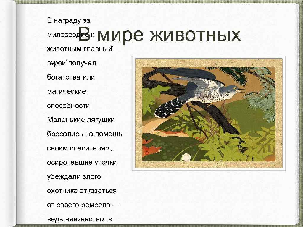В награду за В мире животных милосердие к животным главныи герои получал богатства или