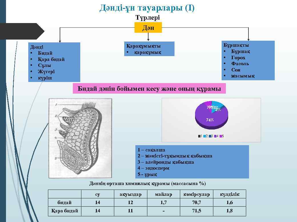 Дәнді-ұн тауарлары (І) Түрлері Дән Бұршақты • Бұршақ • Горох • Фасоль • Соя