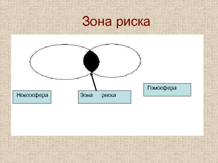 Зона риска Гомосфера Ноксосфера Зона риска 