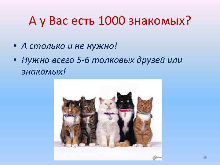 А у Вас есть 1000 знакомых? • А столько и не нужно! • Нужно