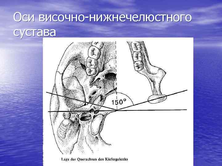 Оси височно-нижнечелюстного сустава 