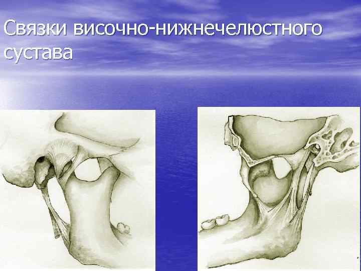 Связки височно-нижнечелюстного сустава 