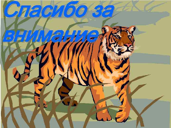 Спасибо за внимание 