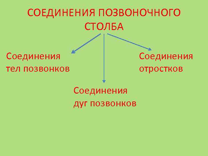 СОЕДИНЕНИЯ ПОЗВОНОЧНОГО СТОЛБА Соединения тел позвонков Соединения отростков Соединения дуг позвонков 