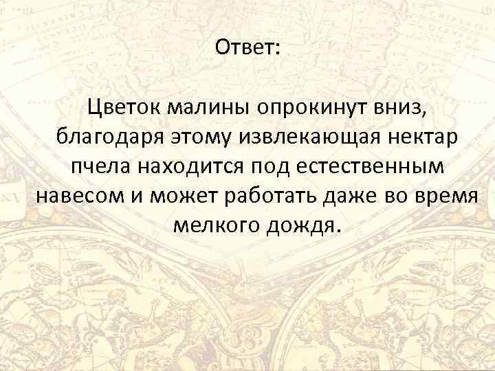 Ответ: Цветок малины опрокинут вниз, благодаря этому извлекающая нектар пчела находится под естественным навесом