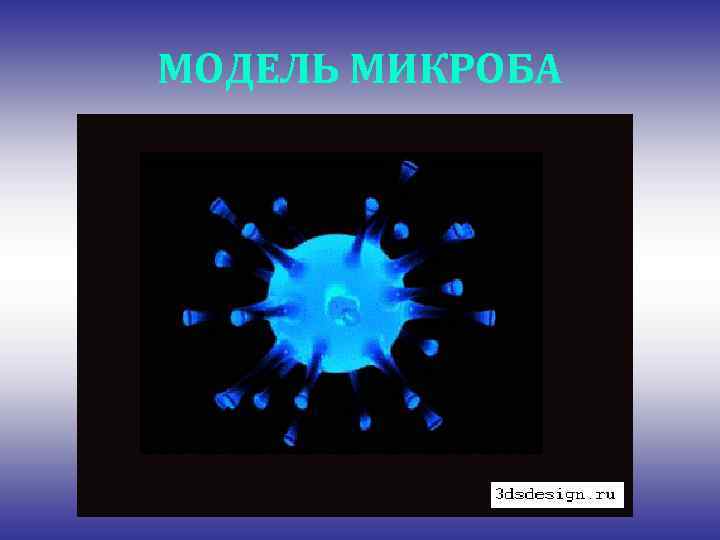 МОДЕЛЬ МИКРОБА 