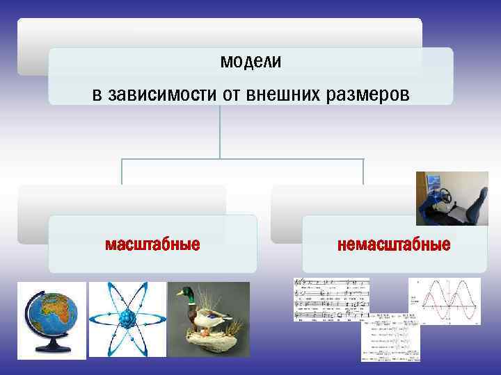 модели в зависимости от внешних размеров масштабные немасштабные 