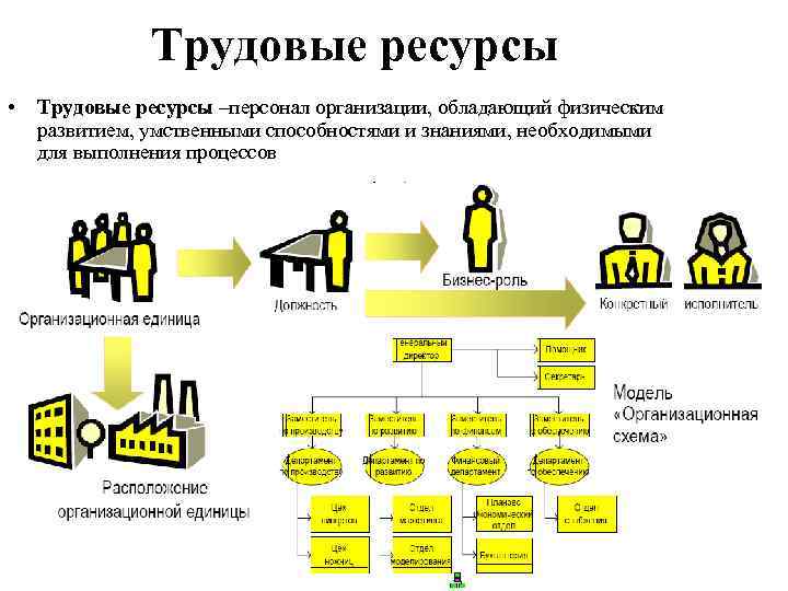 Данные трудовых ресурсов