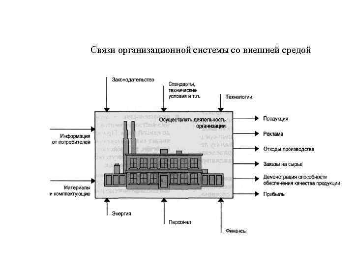 Связи организационной системы со внешней средой 