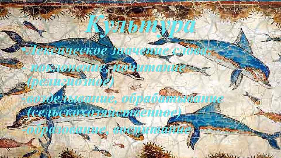 Культура • Лексическое значение слова: - поклонение, почитание (религиозное) -возделывание, обрабатывание (сельскохозяйственное) -образование, воспитание