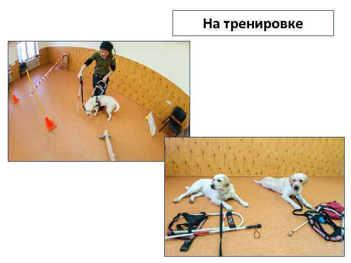 На тренировке 