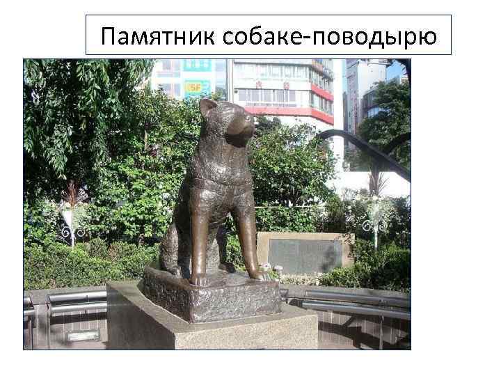 Памятник собаке-поводырю 