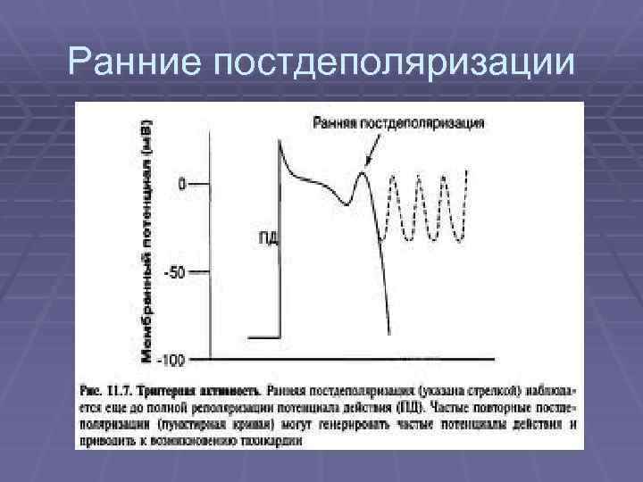 Ранние постдеполяризации 
